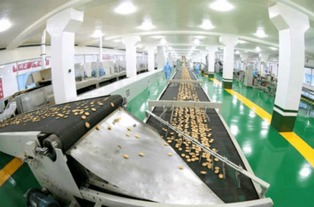 金正恩視察平壤食品工廠，創(chuàng)新設(shè)備彰顯國家實(shí)力與自豪
