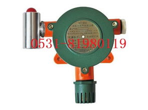 QT300可燃?xì)怏w探測(cè)器使用說明書